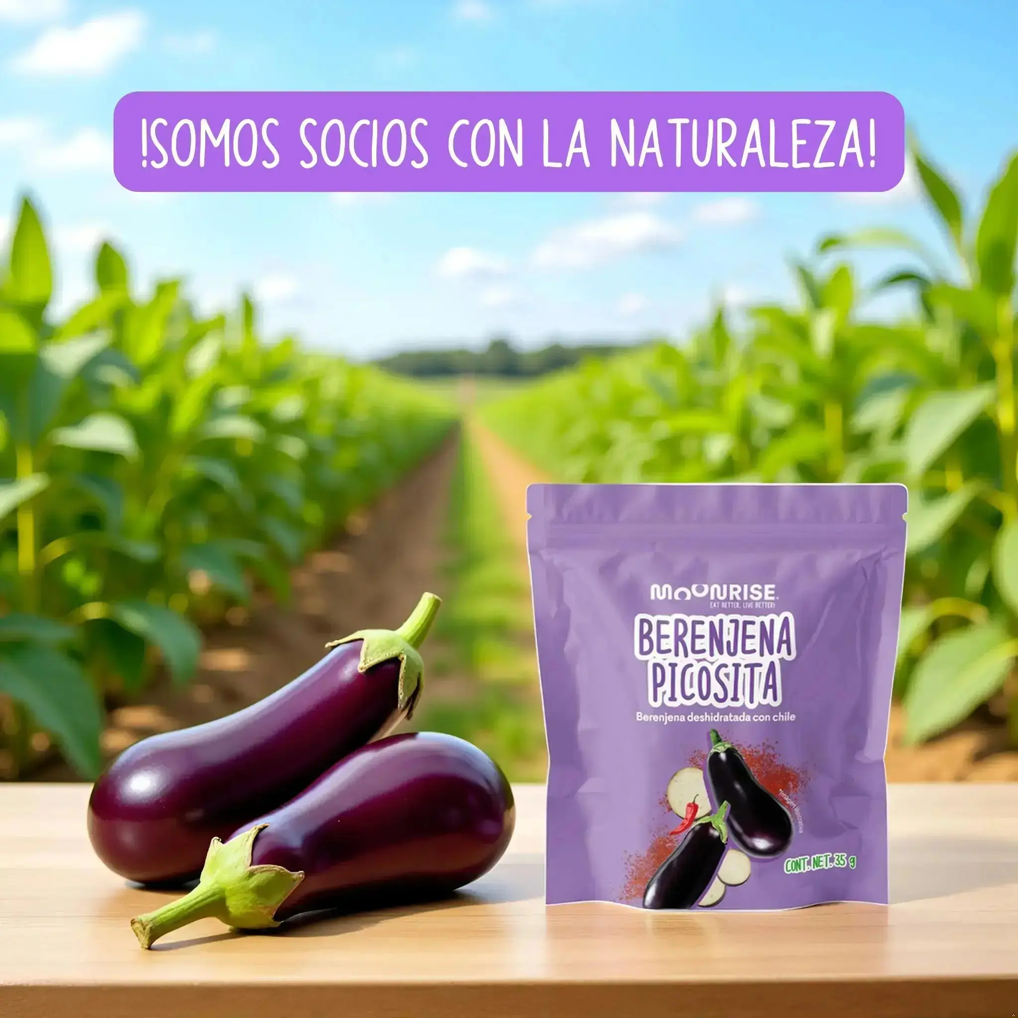 Berenjena Enchilada Deshidratada 6 Pack (Copia) Moonrisefoods